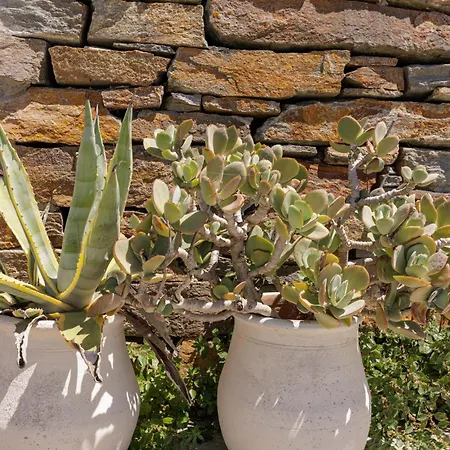 Tatil Evi Pasithea Sunset Milopótamos